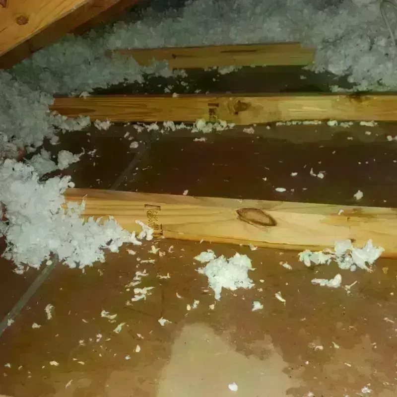 Attic Water Damage in Clinton County, IN